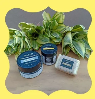 Kit cuidado facial